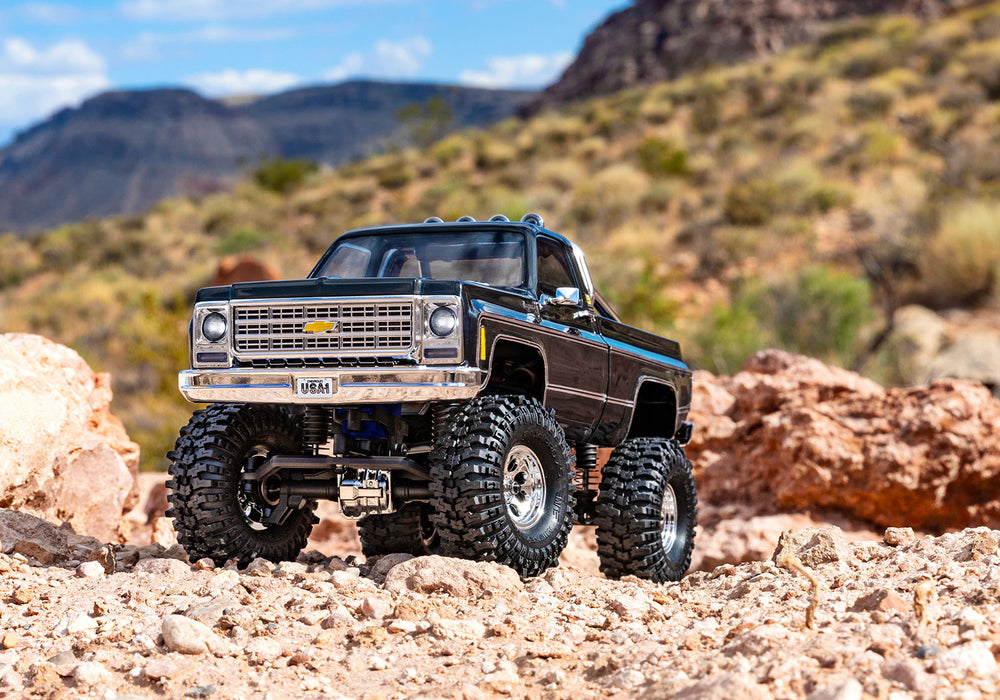 Traxxas 1/18 TRX-4M High Trail 79 F150 Truck - Black RTR