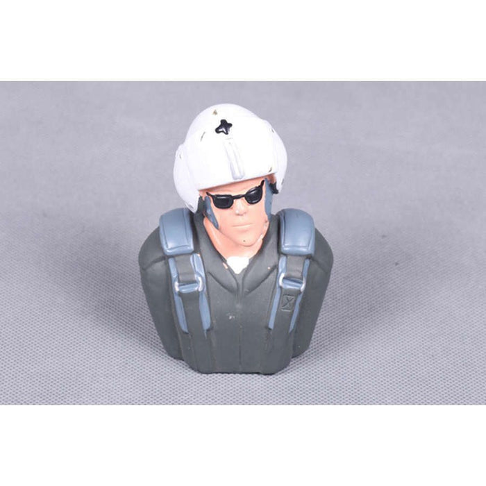 FMS Pilot: 1.4M T-28