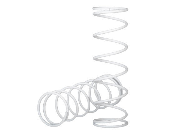 Traxxas Springs, front (2)