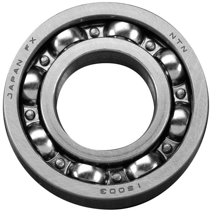 29030001 Rear Bearing 61-300