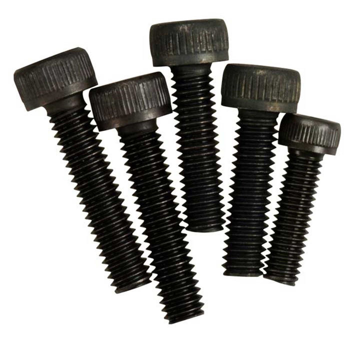 29025400 Muffler Screws #855