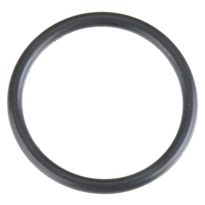 21921800 O-Ring 21TM