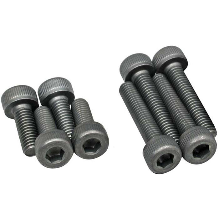 24613000 Screw Set 46AX 55AX (10)