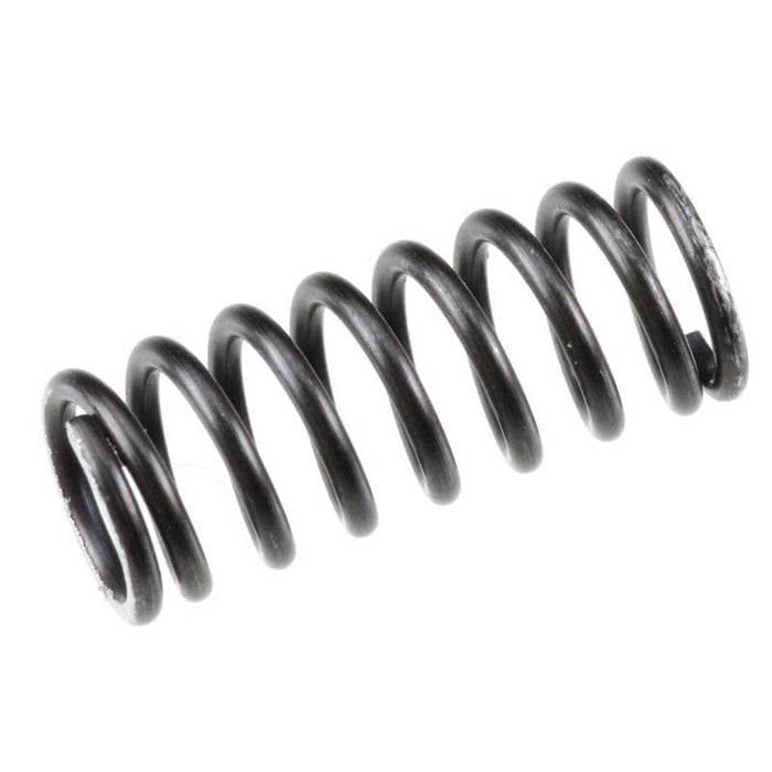 42560200 Valve Spring FS155A-P