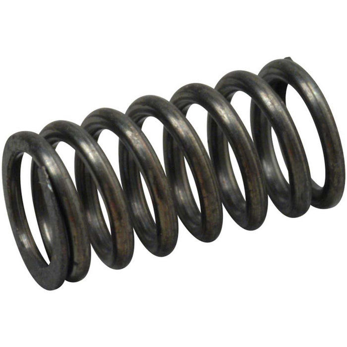 45960210 Valve Spring FS-70 91SII